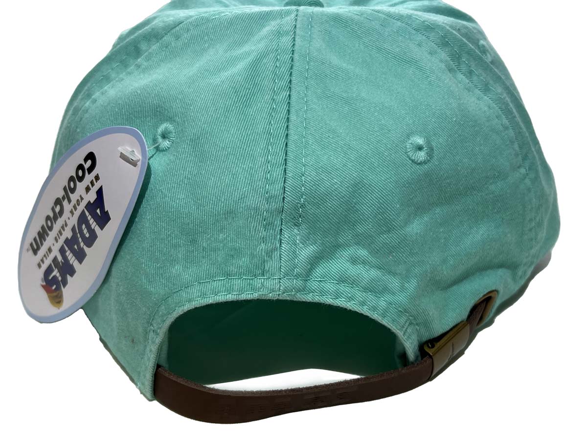 rear view of hat